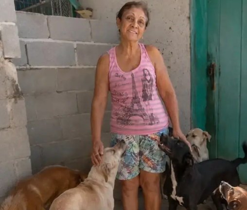 Dona Cida do Lar Amor Animal com cães idosos recuperados